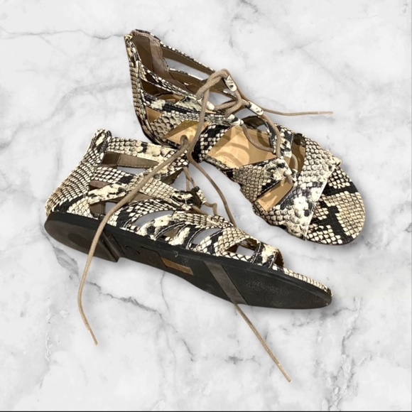 EUC Circus Sam Edelman Snakeskin Lace up Gladiator Sandals Size US 7 1/2 - Picture 2 of 6